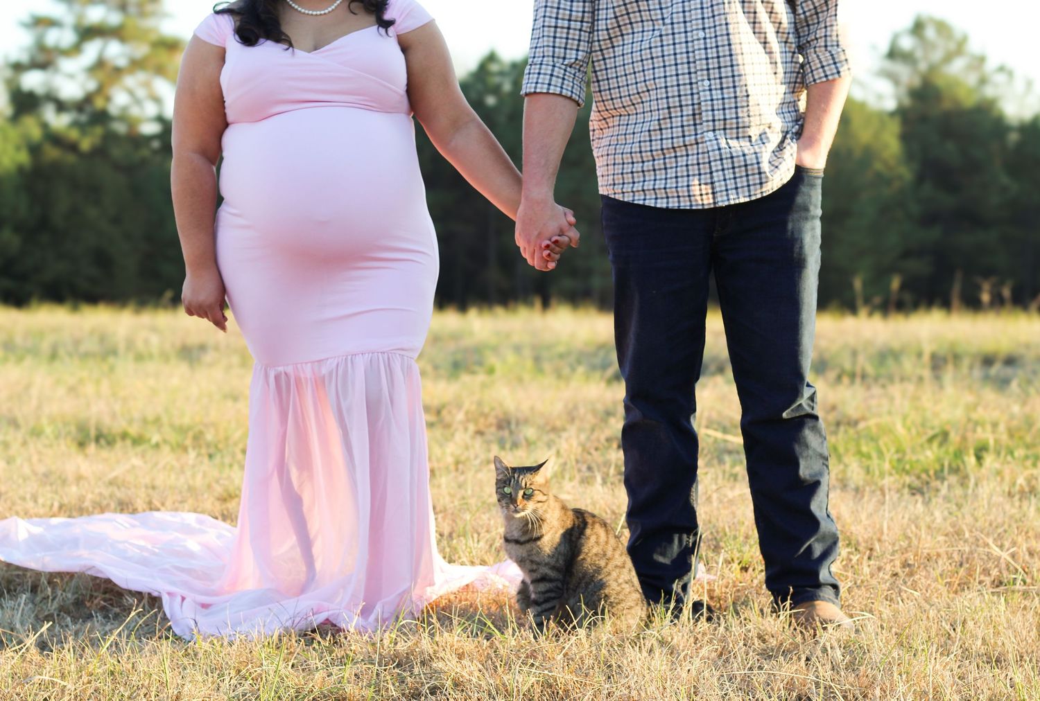 A couple holds hands in a field at sunset with the person on the left wearing a flowing pink maternity dress.