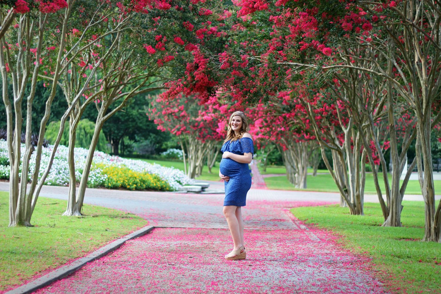 A figure in a blue dress stands on a path lined with blooming red crepe myrtle trees.