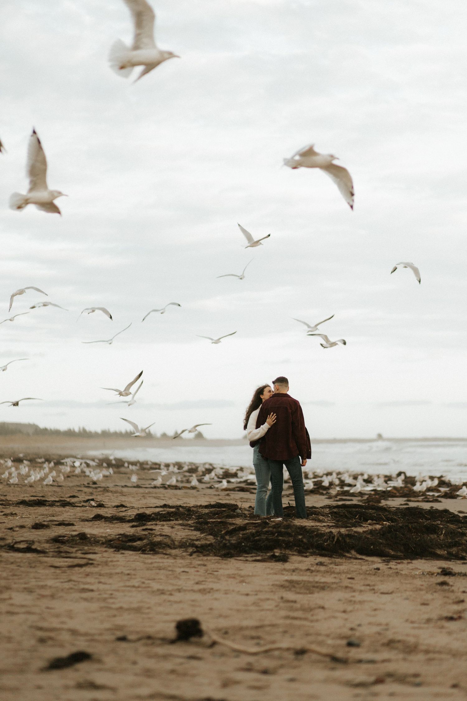 chelle wootten photography halifax nova scotia wedding and family portrait photographer