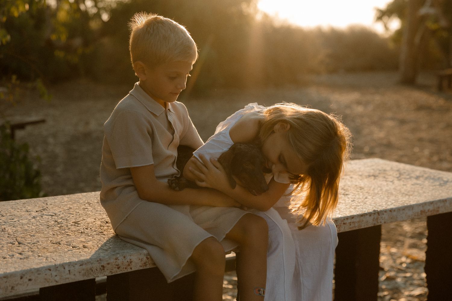 Two young children sit close together on a stone bench in warm golden sunlight, hugging and cuddling a small dog outdoors.