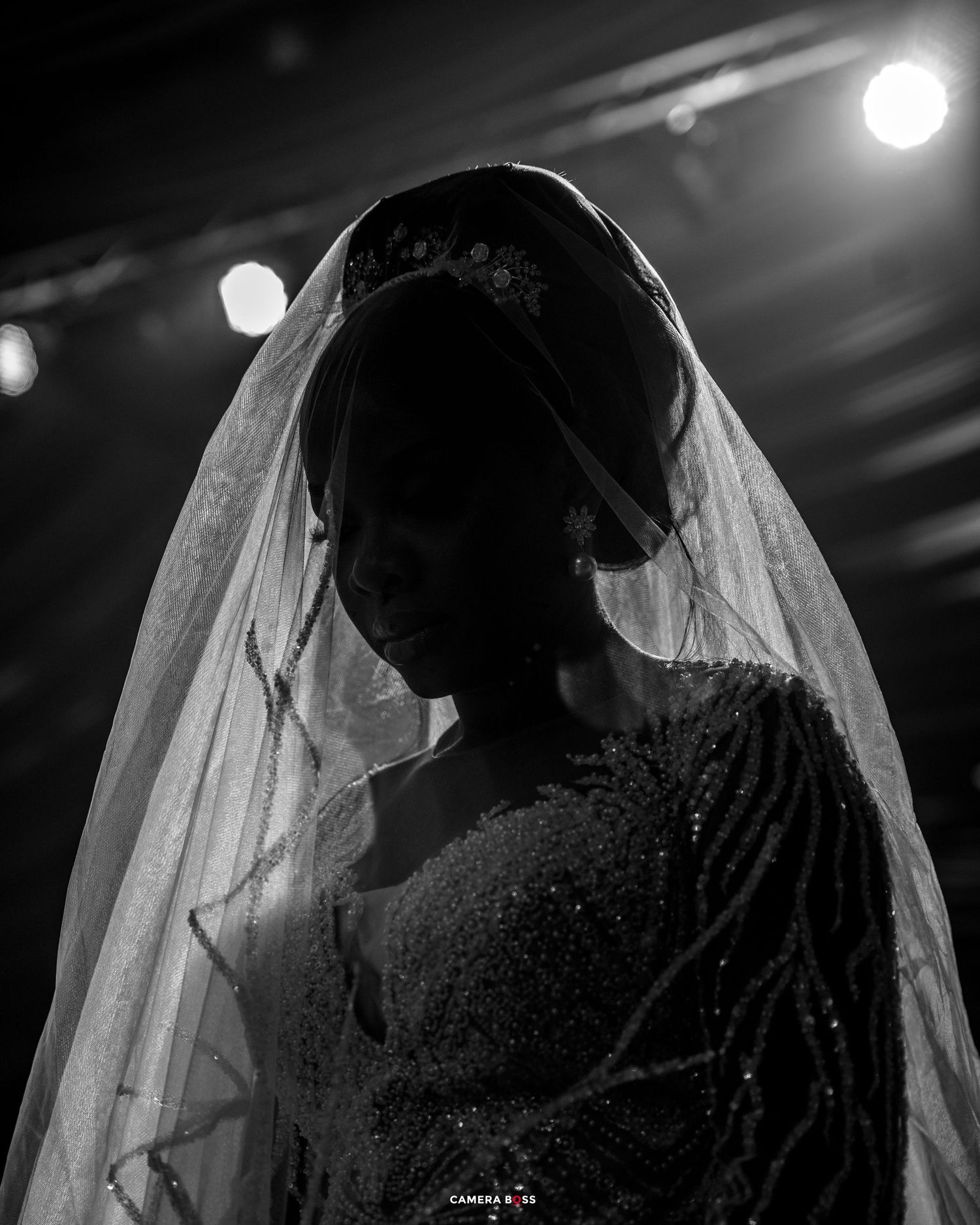 Dramatic black and white silhouette of a bride with veil standing under stage lights in an artistic wedding portrait.