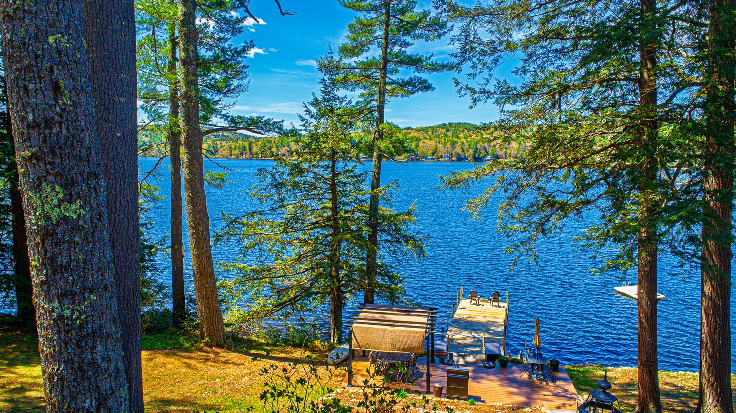 Serene lakeside view with tall pine trees, wooden dock, and chairs overlooking calm blue water on a sunny day.