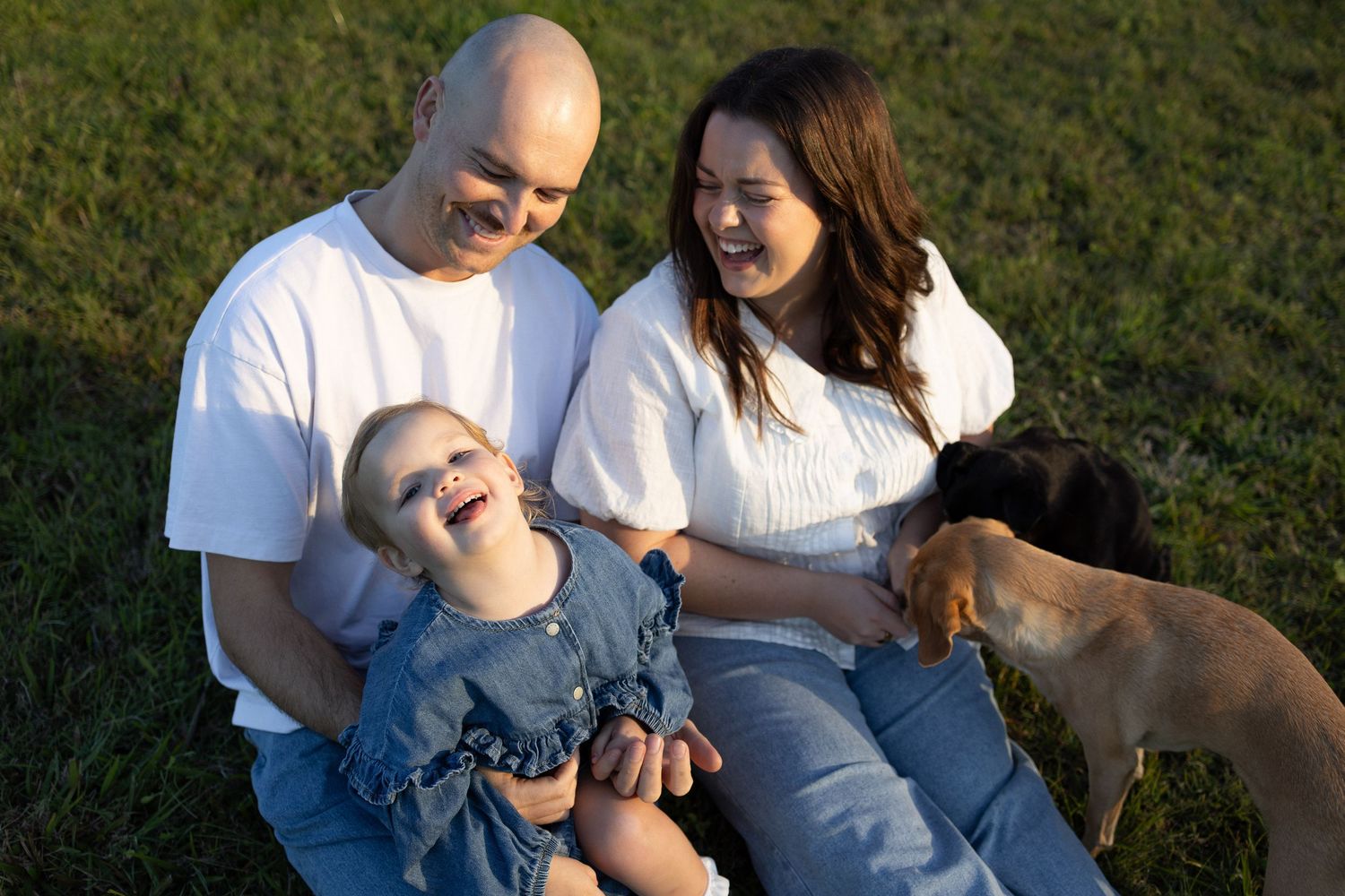 Happy couple laughing with their toddler on the grass at sunset, with two dogs resting beside them.