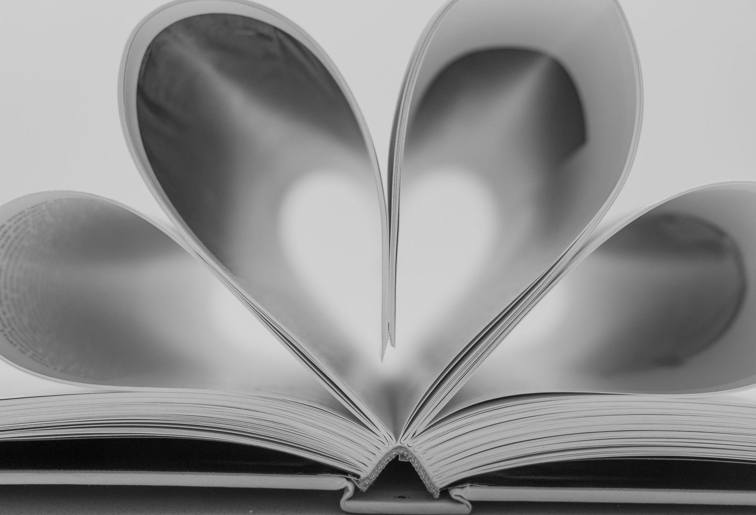 Open book pages folded into heart shapes, minimalist conceptual photography.