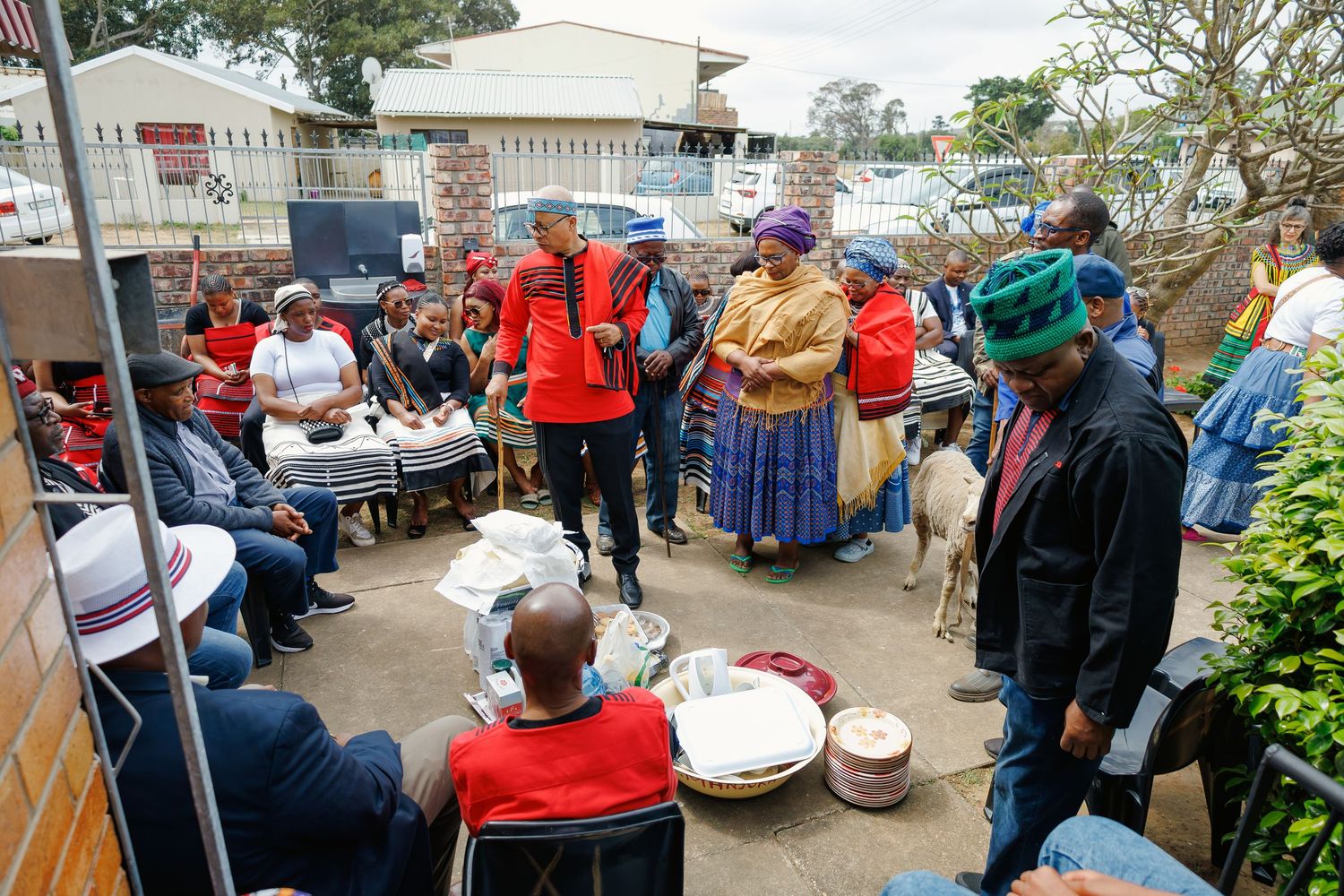 Diverse group gathered around tables at a traditional African cultural ceremony with a goat present.