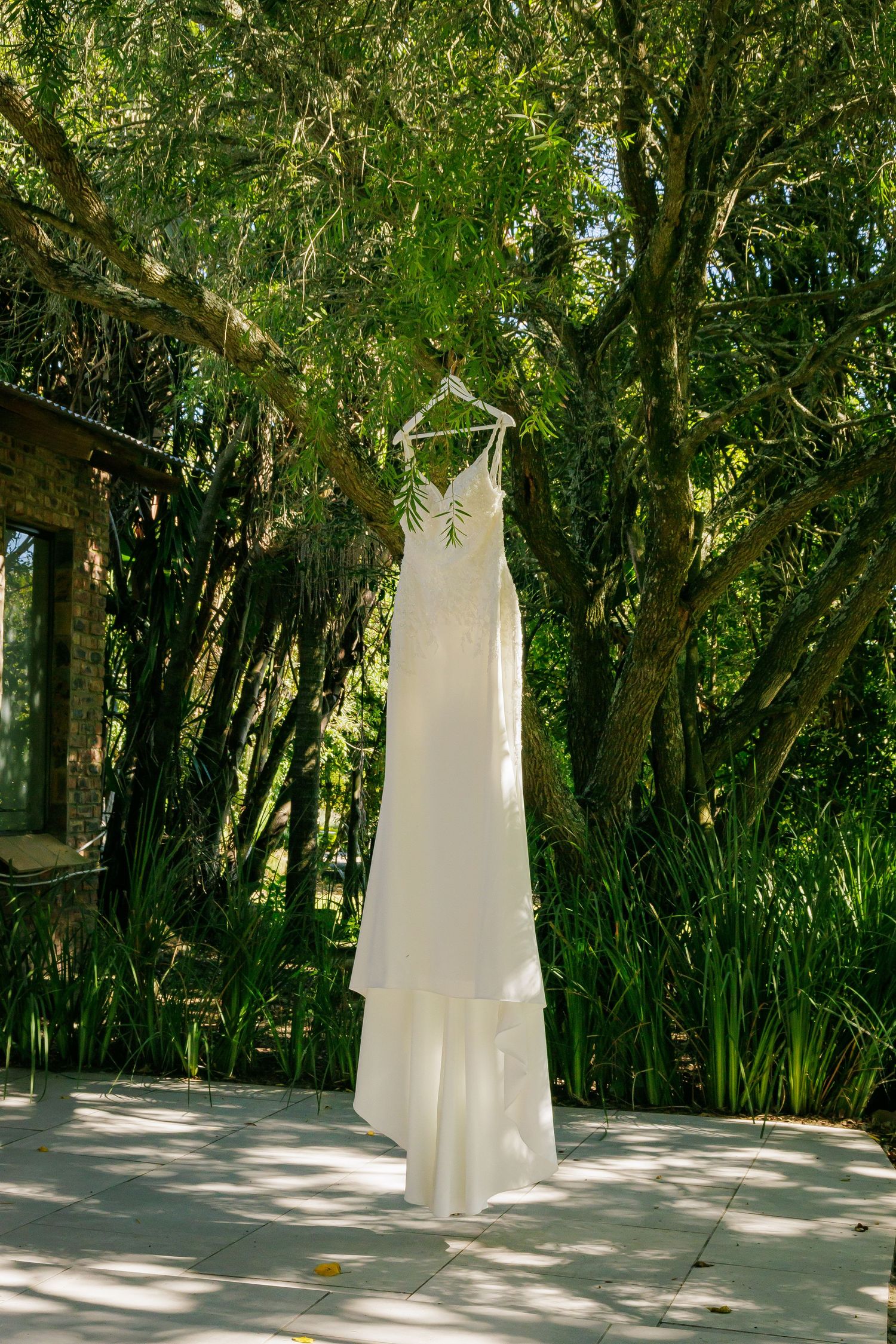 White bridal gown hanging from a tree branch in a lush green garden setting.
