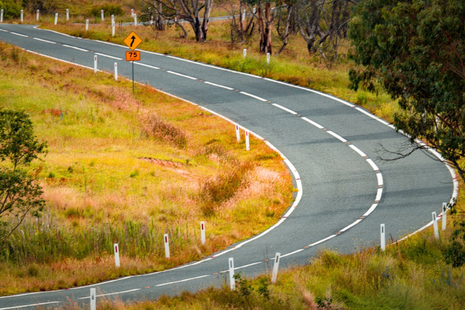 Curved asphalt road with white markings winds through rural countryside.