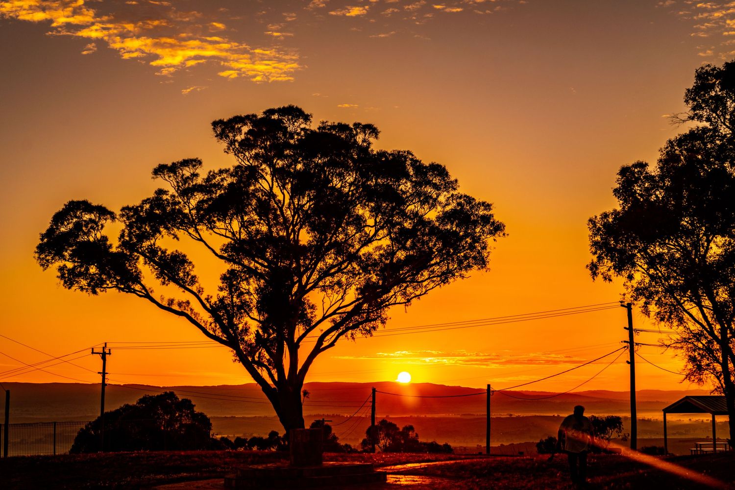 Golden sunset landscape with tree silhouettes and power lines stretching across the horizon.