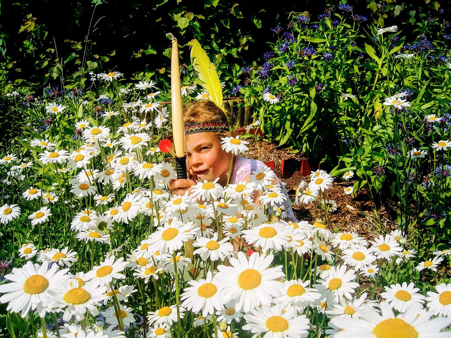 A garden filled with blooming white daisies and lush greenery on a bright sunny day.