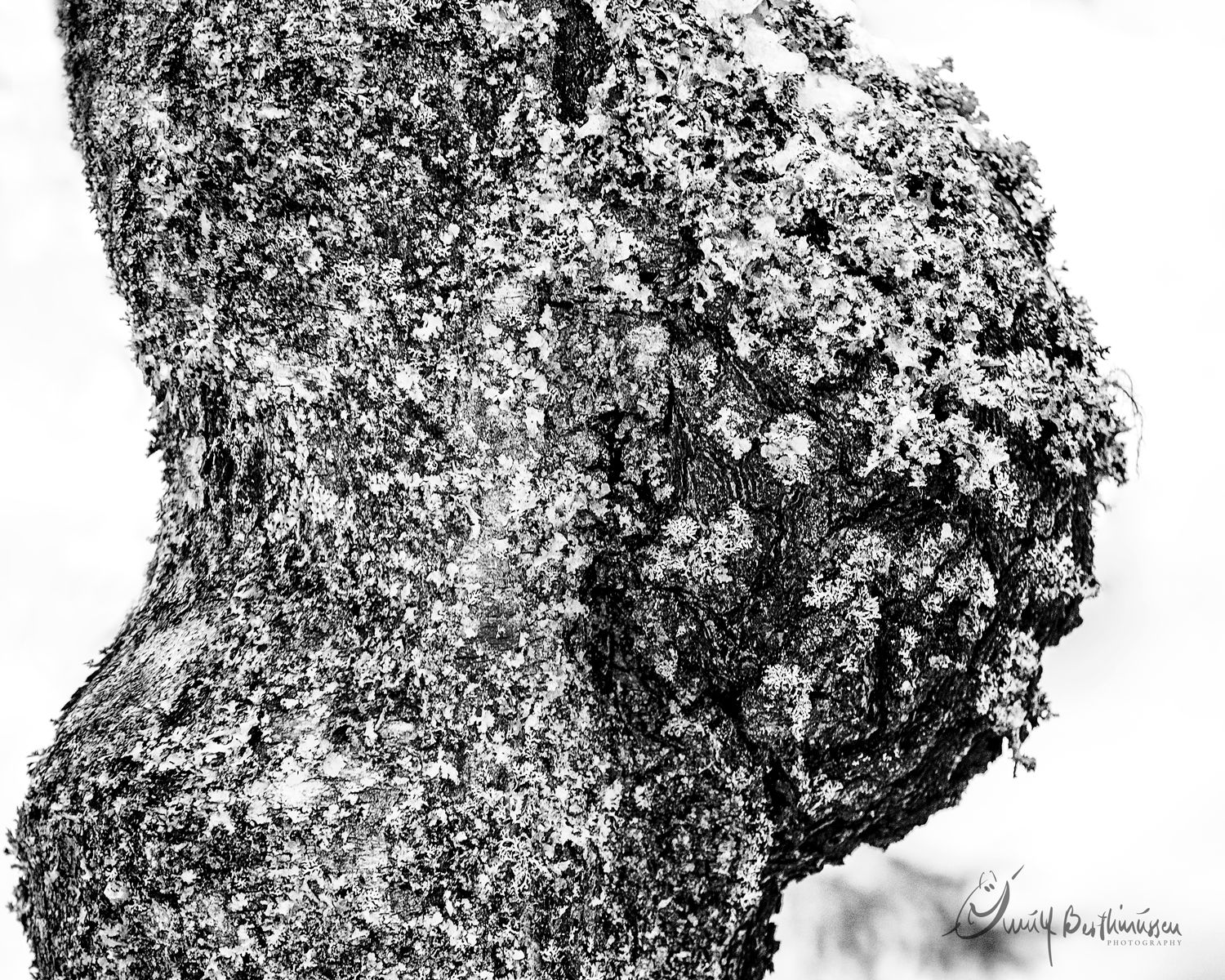 Panoramic black and white landscape of rocky mountain formations.