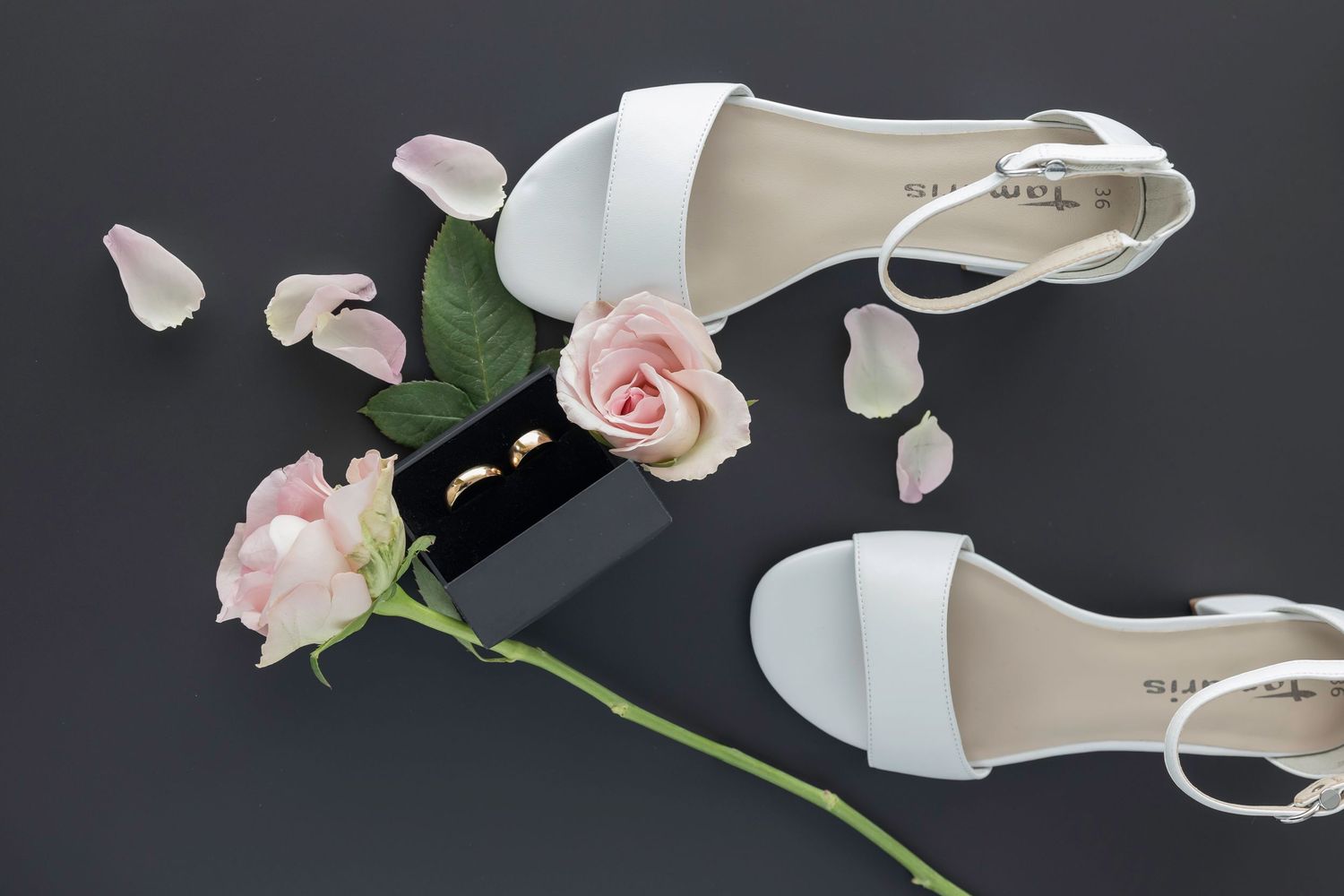 A delicate pink rose stem with scattered petals lies beside a white leather shoe on a dark background.