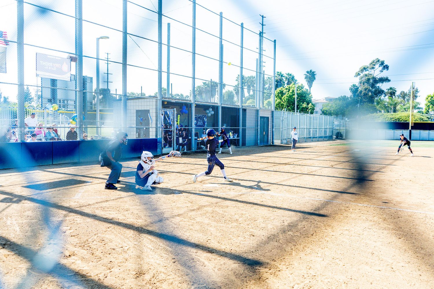 Softball Photography