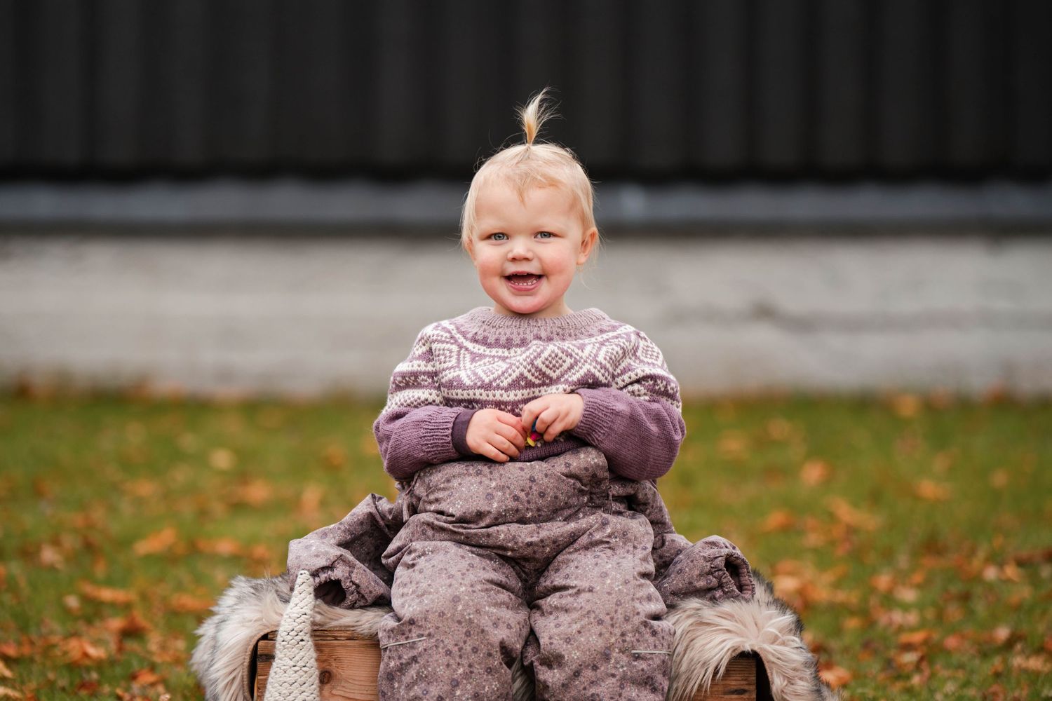 A sequence of seven photos showing a baby sitting on autumn leaves in purple clothing and expressing joyful emotions.