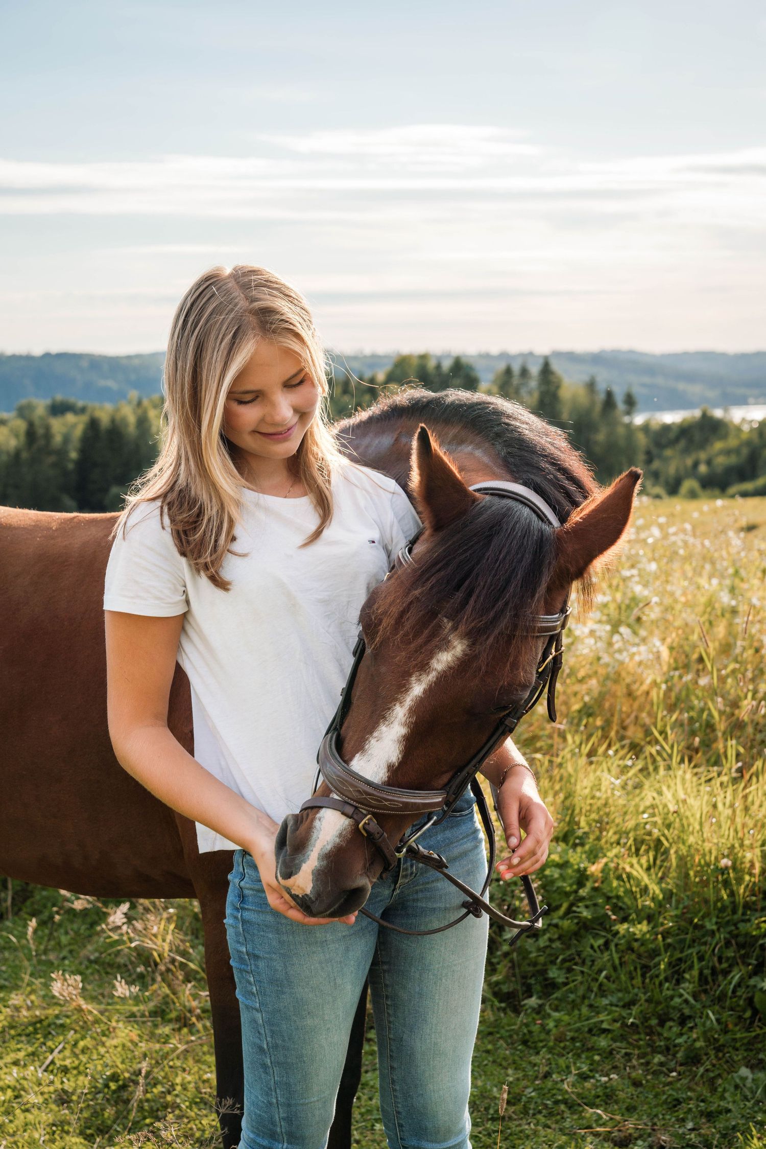 Brown horse with bridle stands close to someone in casual attire in a summer meadow.
