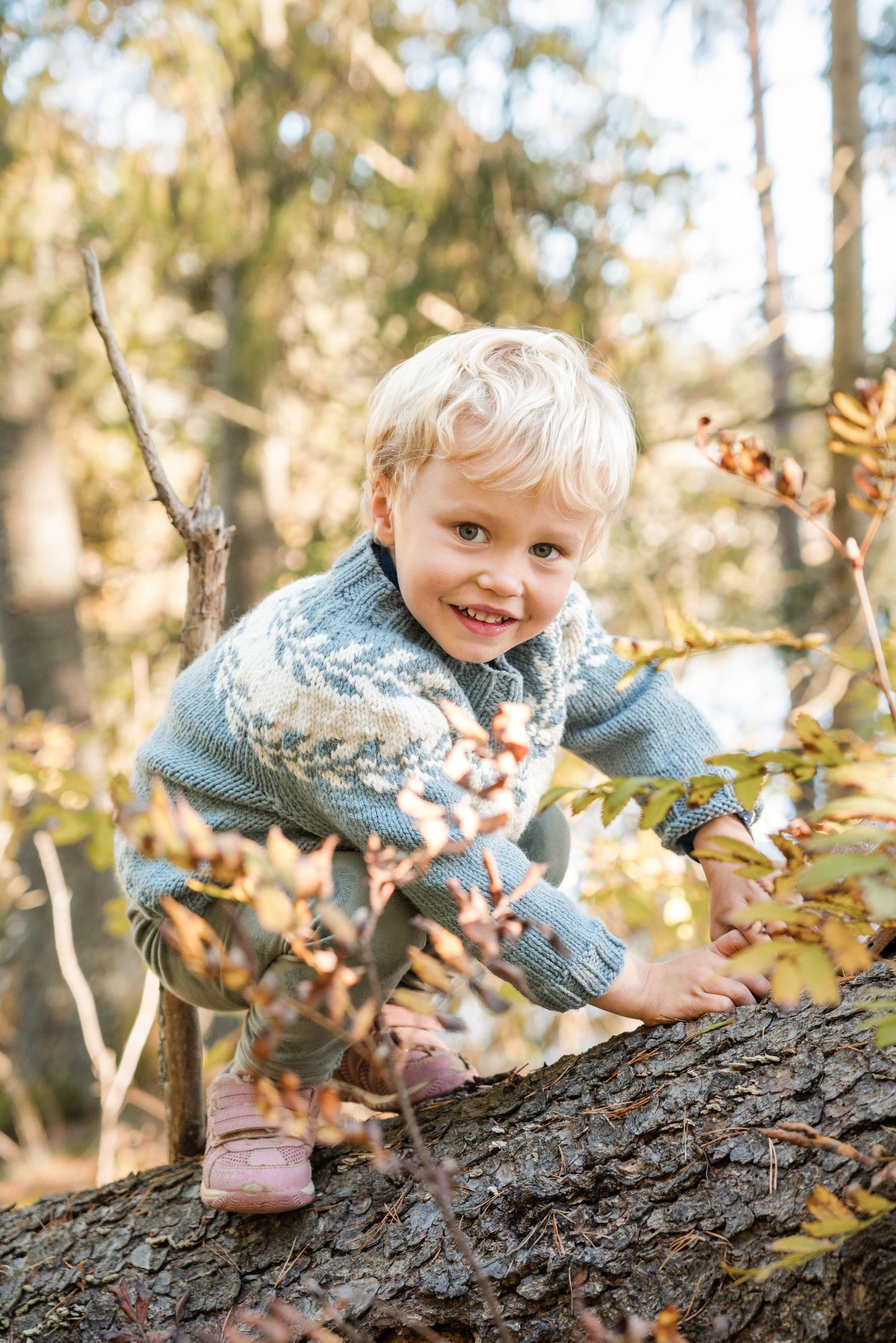 A child in a patterned sweater climbs on a fallen tree trunk in an autumn forest.