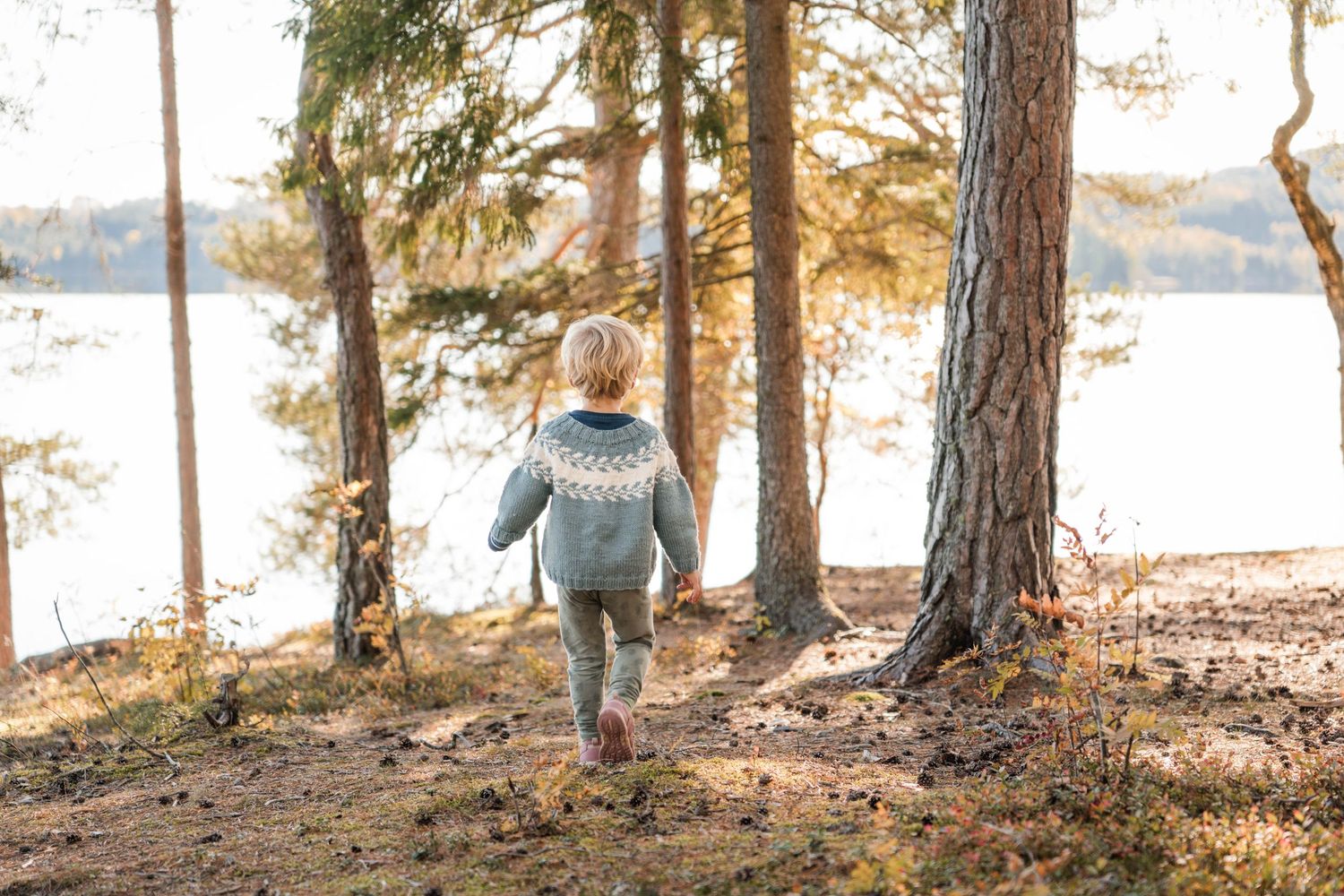 Person in blue jacket walking through forest path near lake.