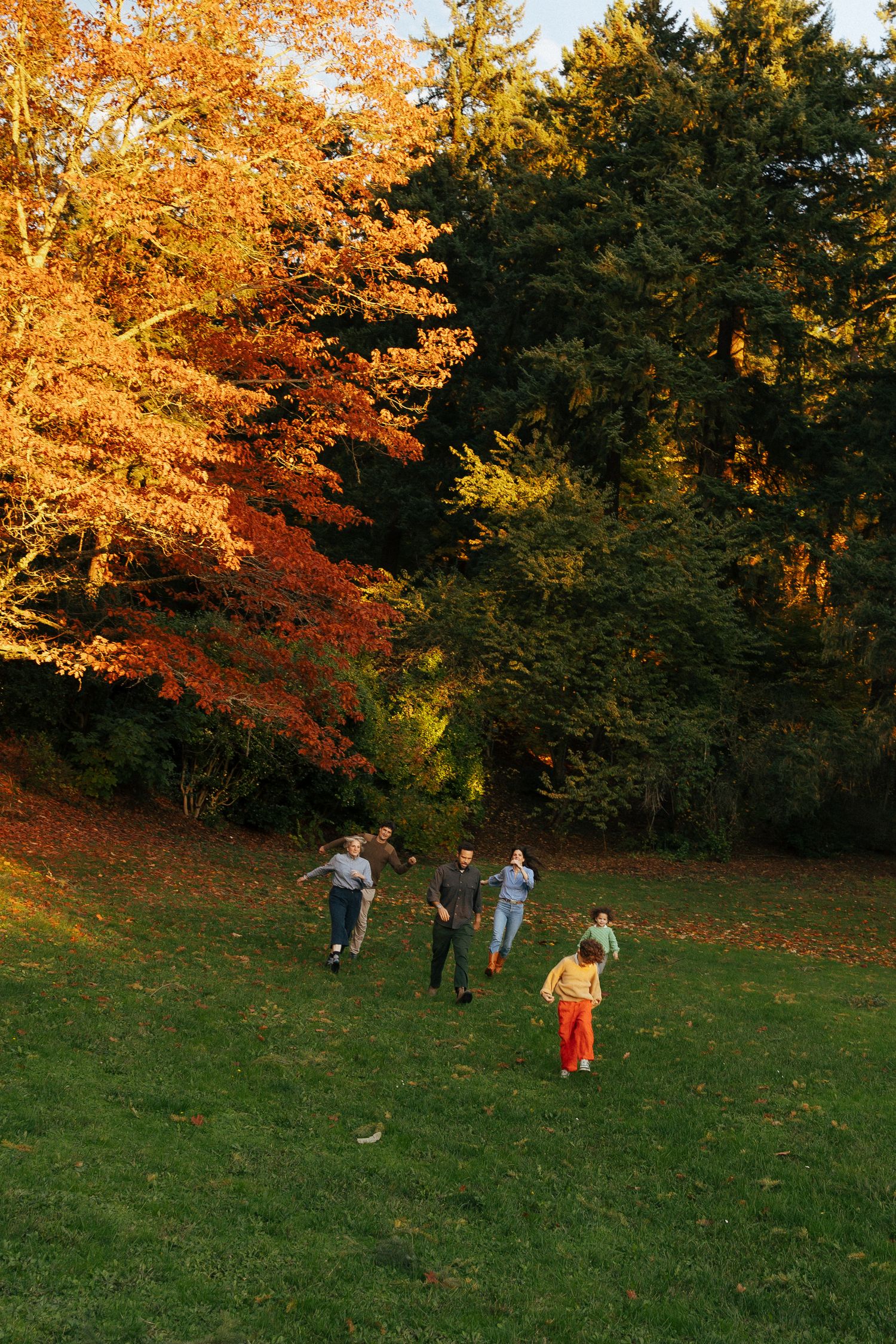 Children playing in a grassy field surrounded by autumn trees with golden foliage.