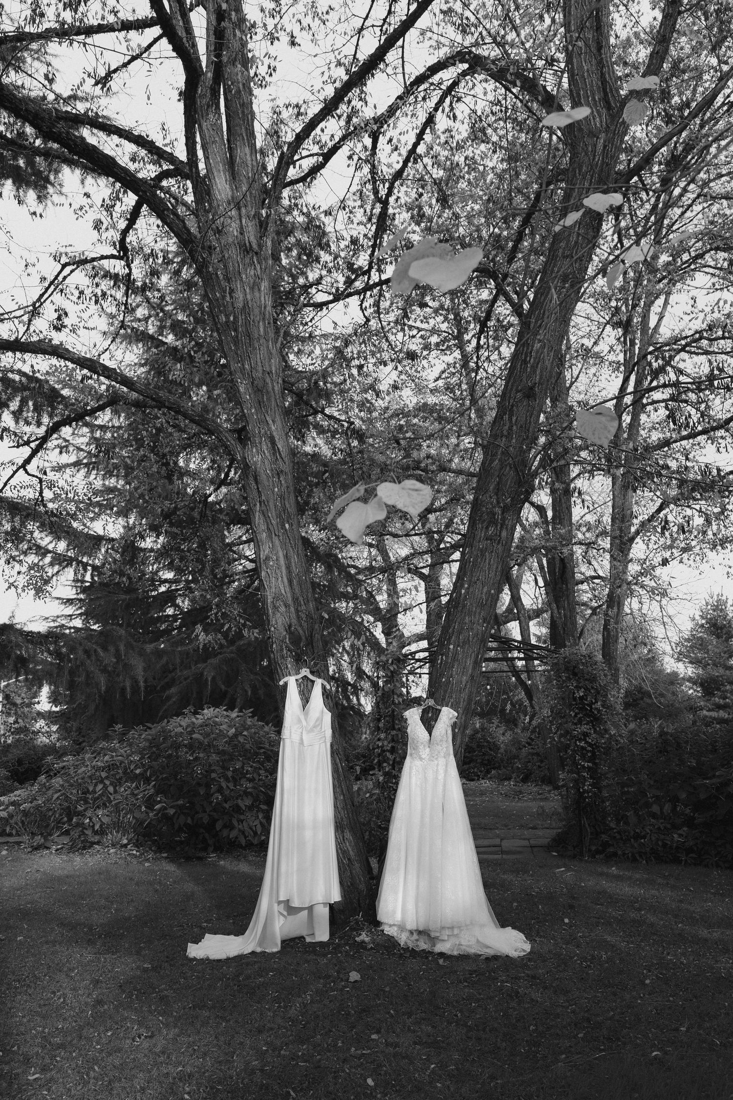 Two white wedding dresses hanging from tall trees in a garden setting, captured in black and white.