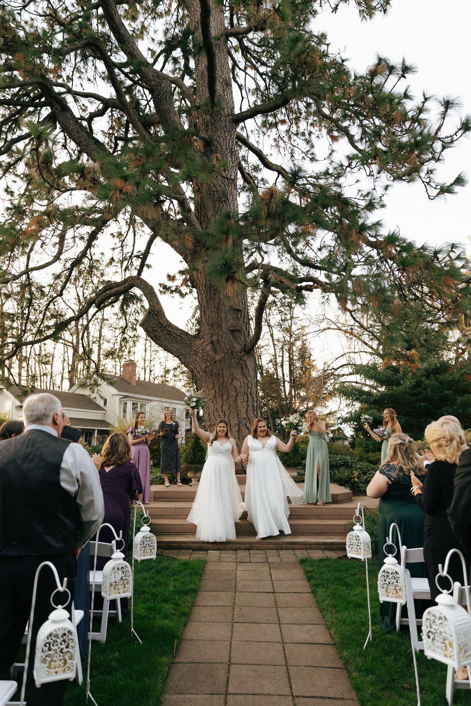 A wedding ceremony path lined with decorative white lanterns and tall trees at dusk.