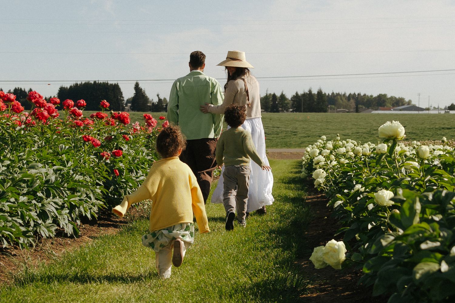 People walking through a flower garden with red and white blooms on a bright summer day.