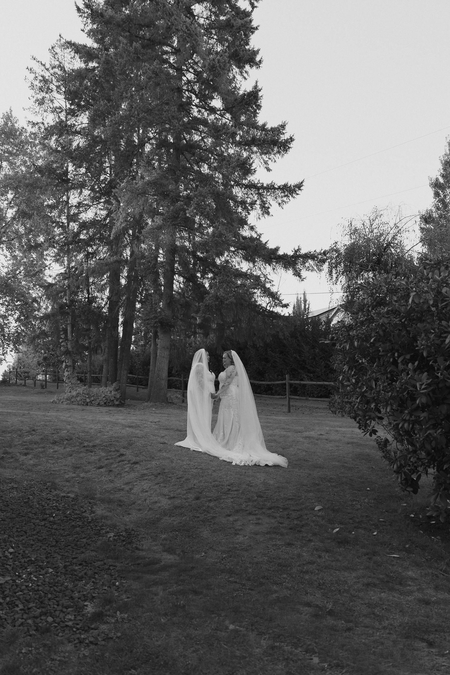 Two figures in white dresses stand together on a grassy hillside with tall evergreen trees in the background.