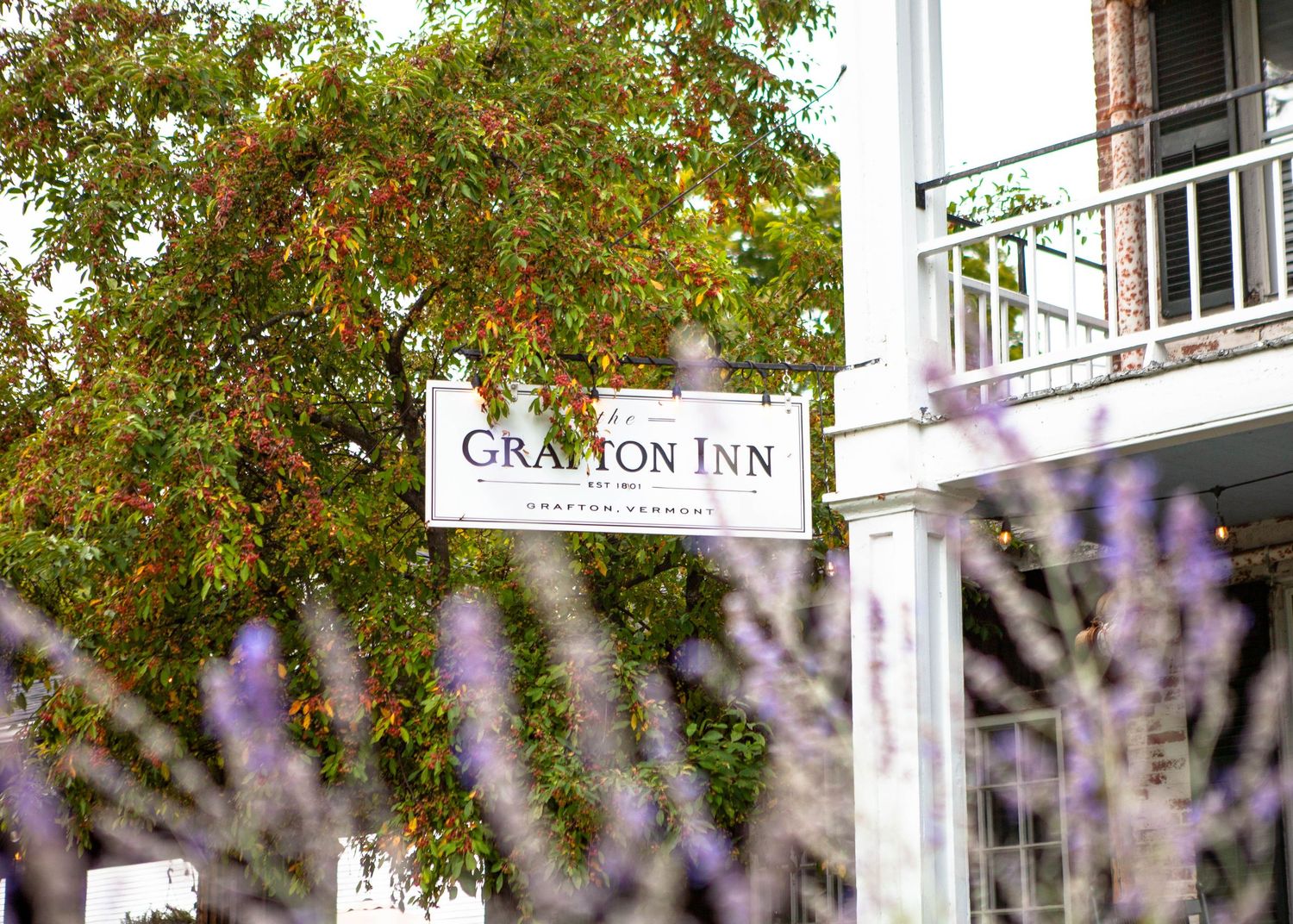 The Grafton Inn sign framed by autumn foliage and lavender flowers.
