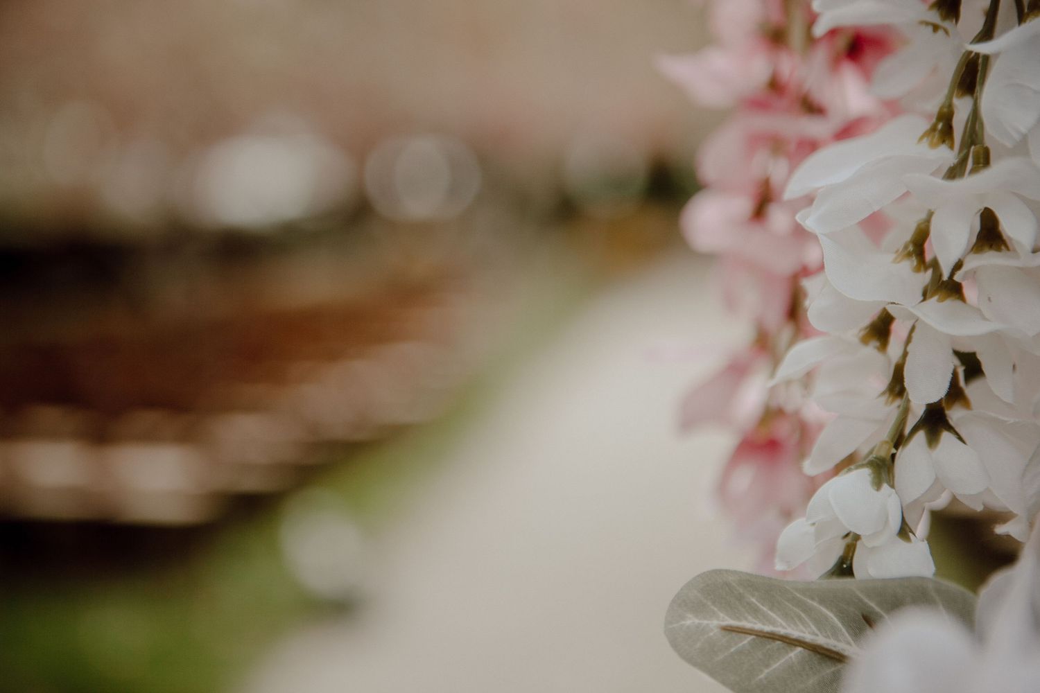 Delicate pink cherry blossoms bloom in soft focus creating a romantic spring atmosphere.