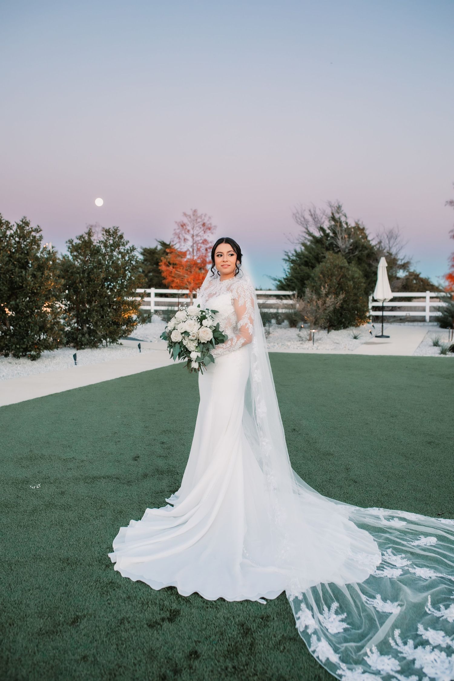 Stunning bridal portraits at dusk with flowing cathedral veil on grass.
