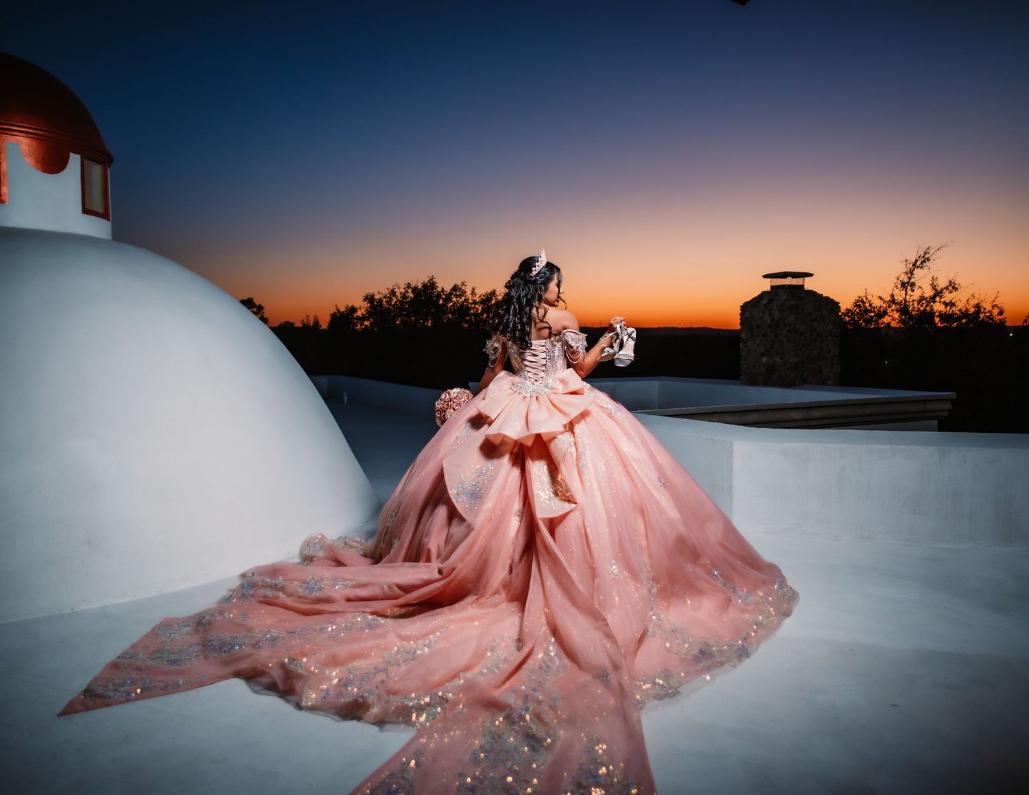 A flowing pink ballgown photographed against a dramatic sunset backdrop.