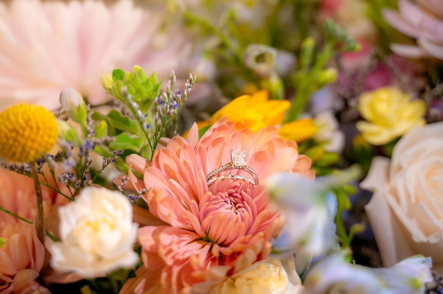 Raleigh wedding photographer documenting intimate weddings and meaningful celebrations across Raleigh and surrounding area