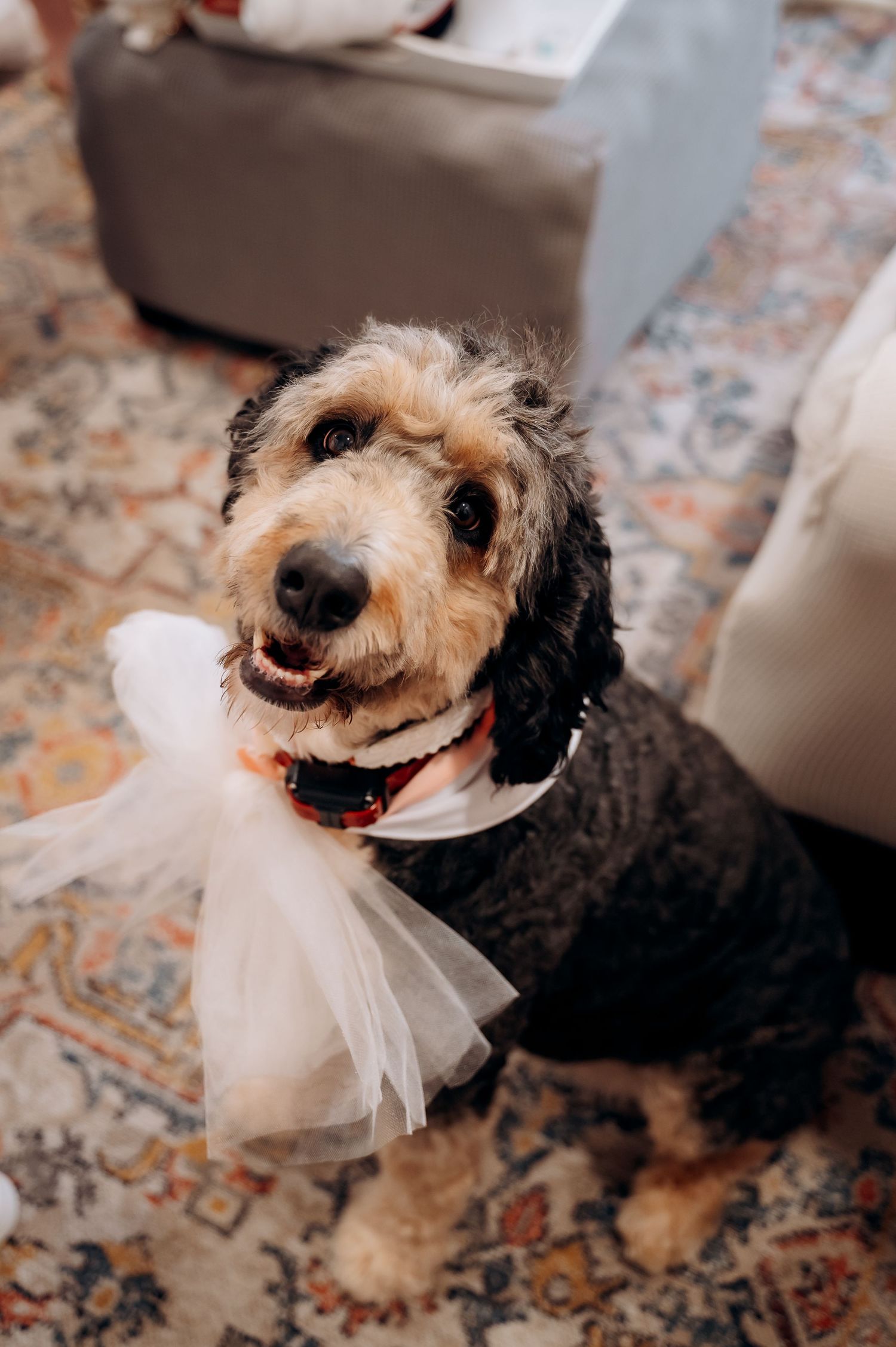 Raleigh wedding photographer documenting intimate weddings and meaningful celebrations across Raleigh and surrounding area