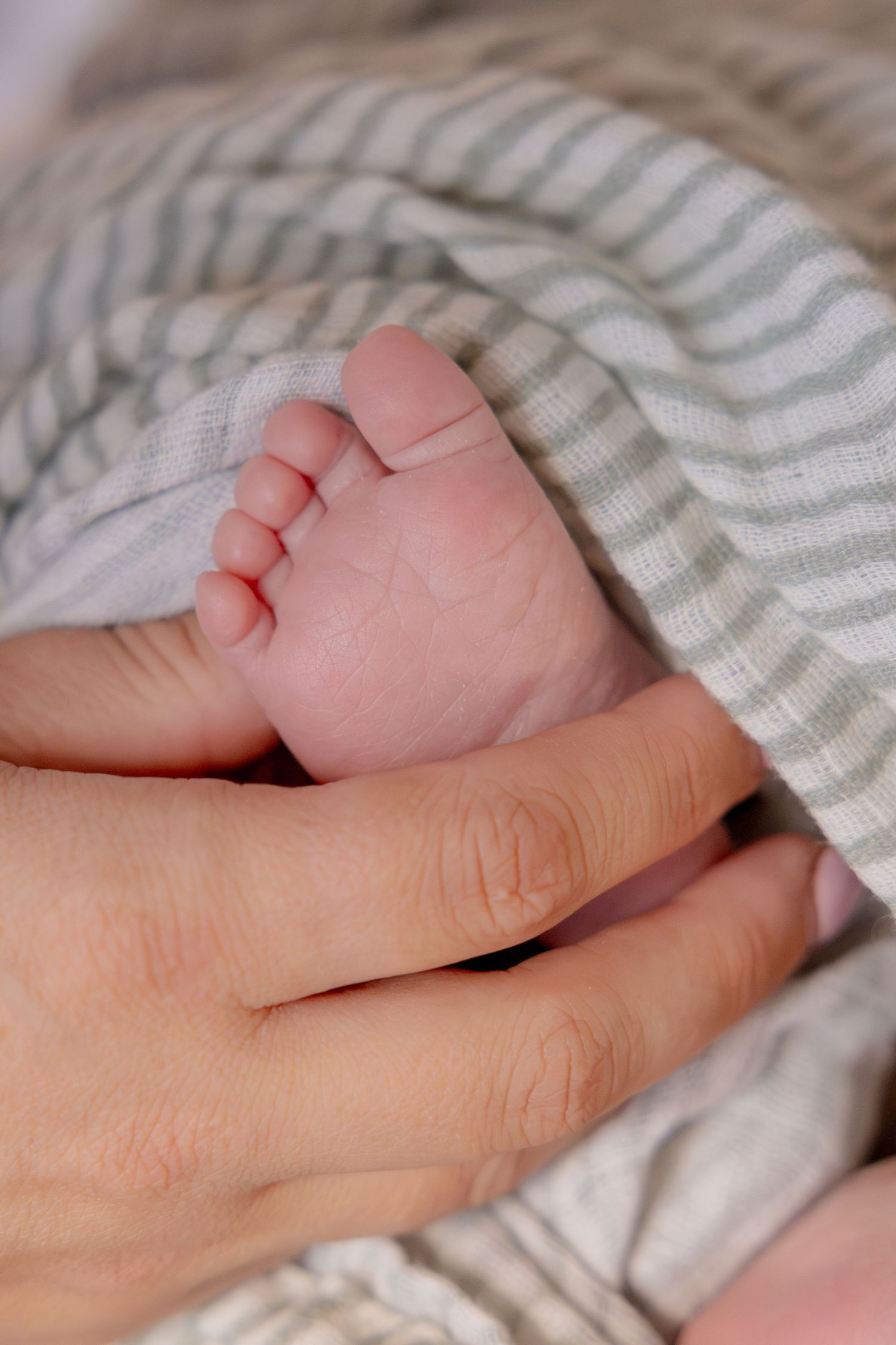 An adult hand gently cradling a tiny newborn baby foot beneath a soft striped blanket.