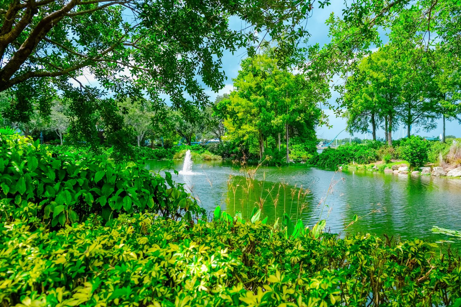 Serene park pond with a fountain surrounded by vibrant green trees and lush shrubs under a blue sky.