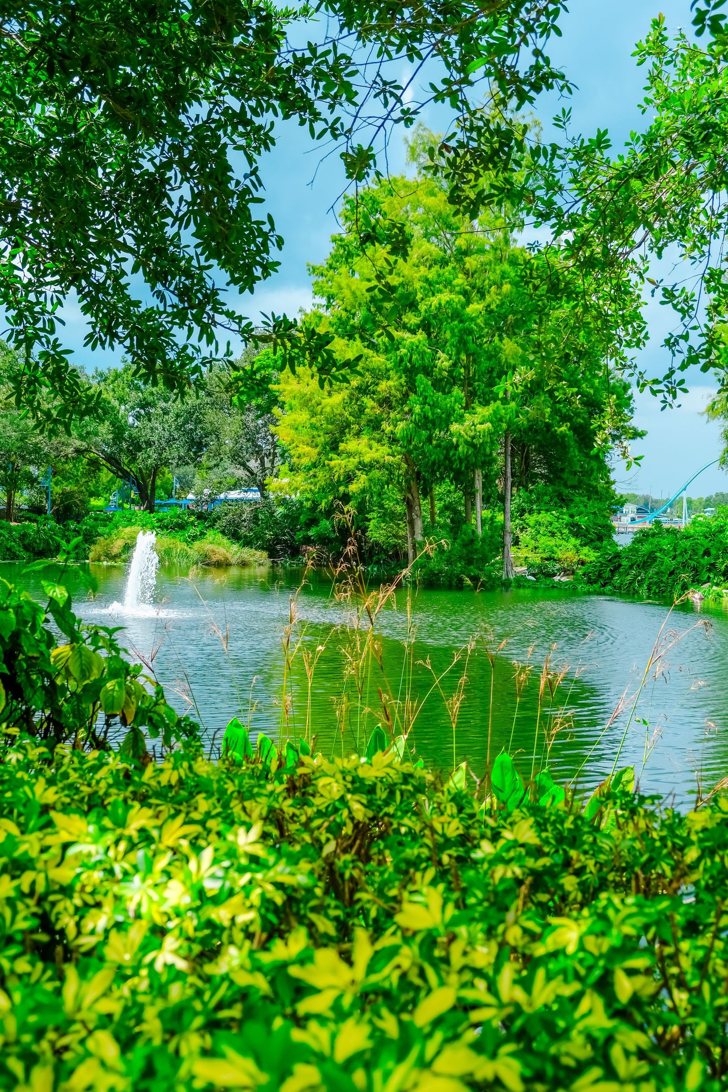 Tranquil park lake with a water fountain feature framed by lush green trees and foliage on a sunny day.