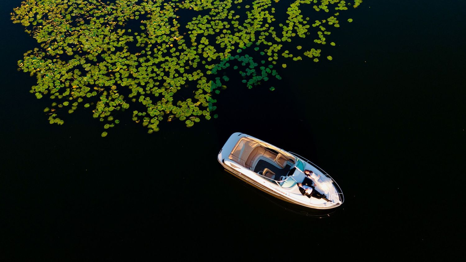 Aerial view of a small white motorboat floating near green lily pads on a dark calm lake.