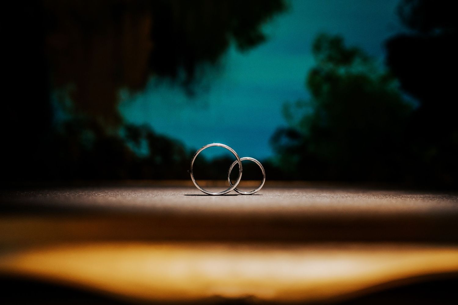 Two gold wedding rings standing upright on a surface with a warm light and blurred green trees in the background.