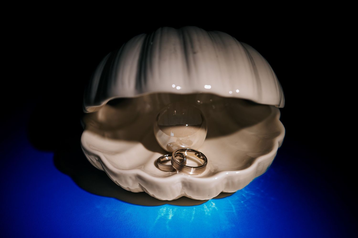 Two gold wedding rings displayed in a white ceramic shell dish, illuminated against a dark blue background.