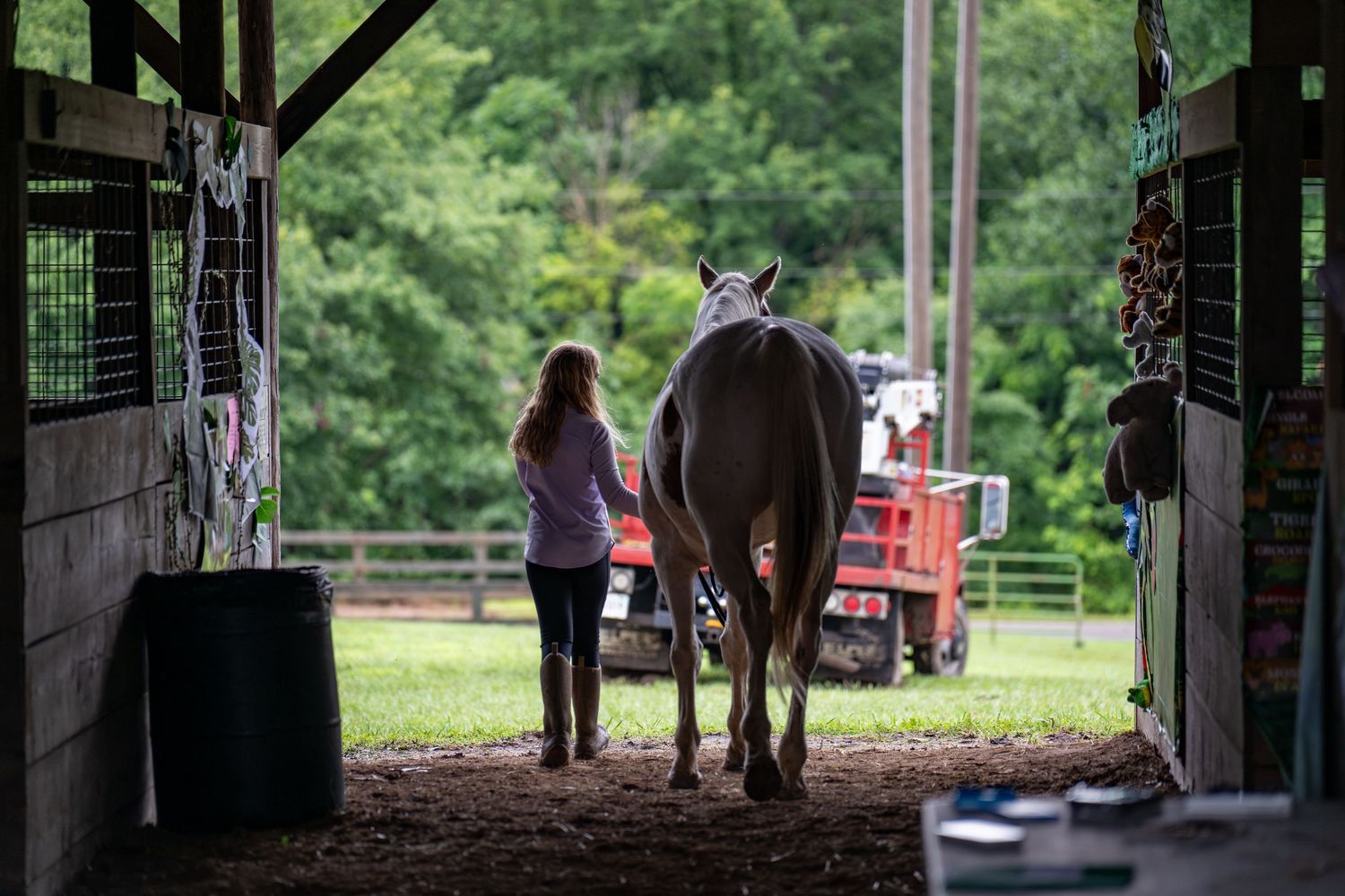 Young girl leading a gray horse through a rustic barn doorway with green trees beyond during 2026 Spencer County 4H Fair.