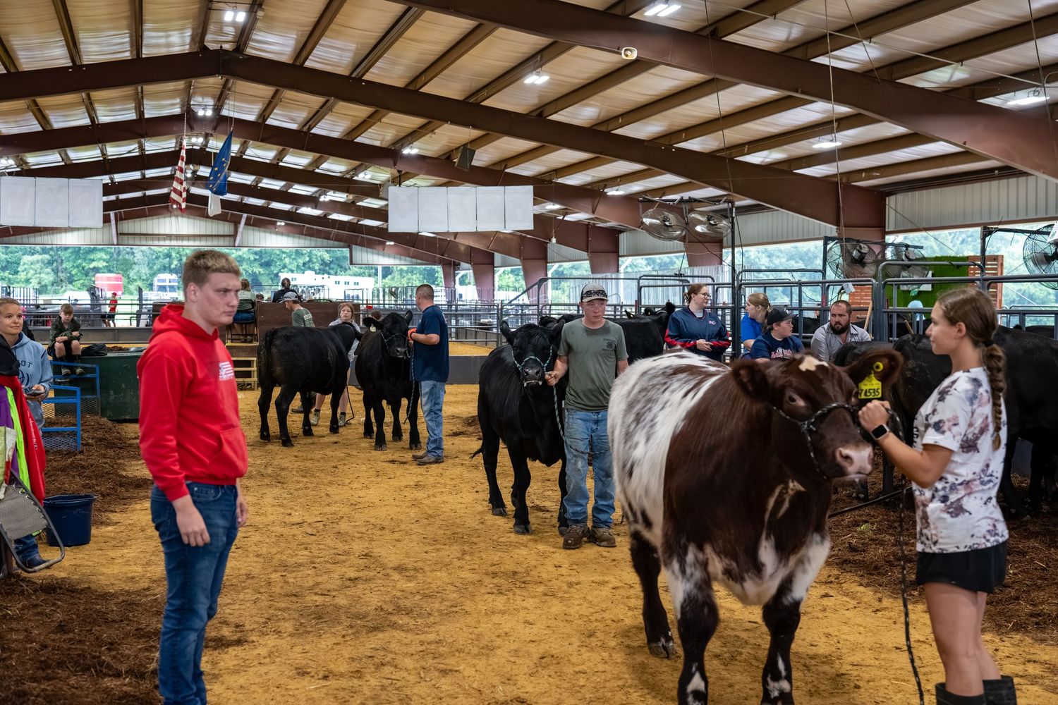 during 2026 Spencer County 4H Fair livestock show with youth handlers leading cattle inside an agricultural exhibition barn.