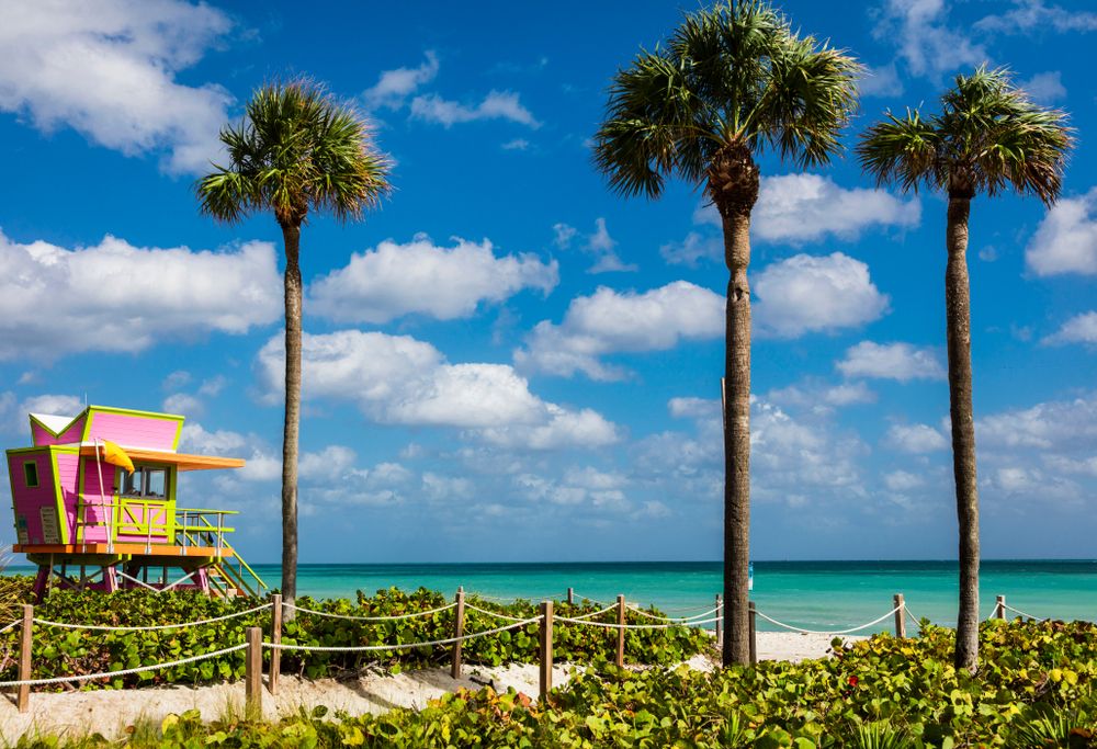 Panoramic view of a tropical beach with palm trees and turquoise waters under a bright blue sky with white clouds.