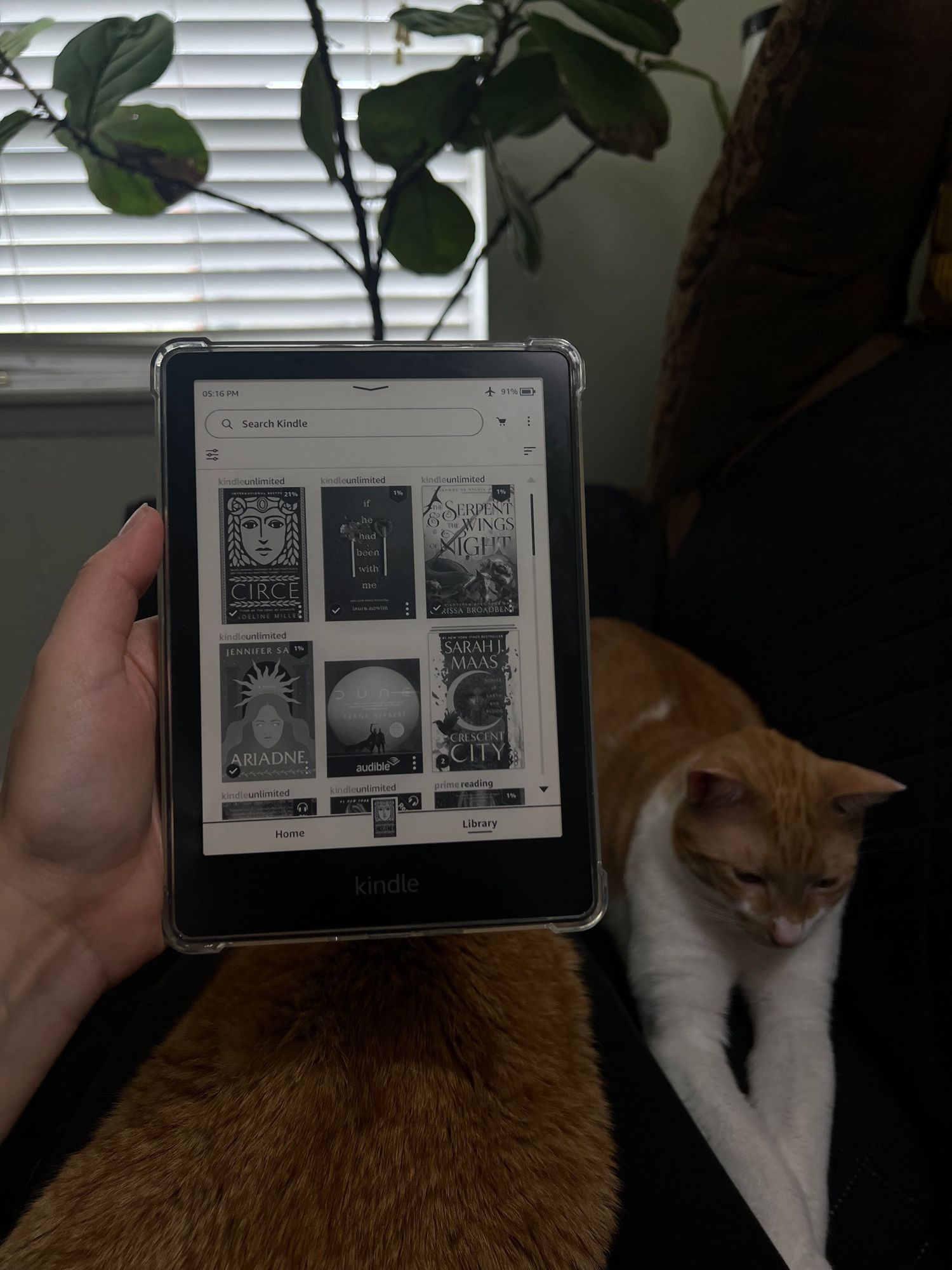 Hand holding an e-reader displaying book covers next to a cat by the window.