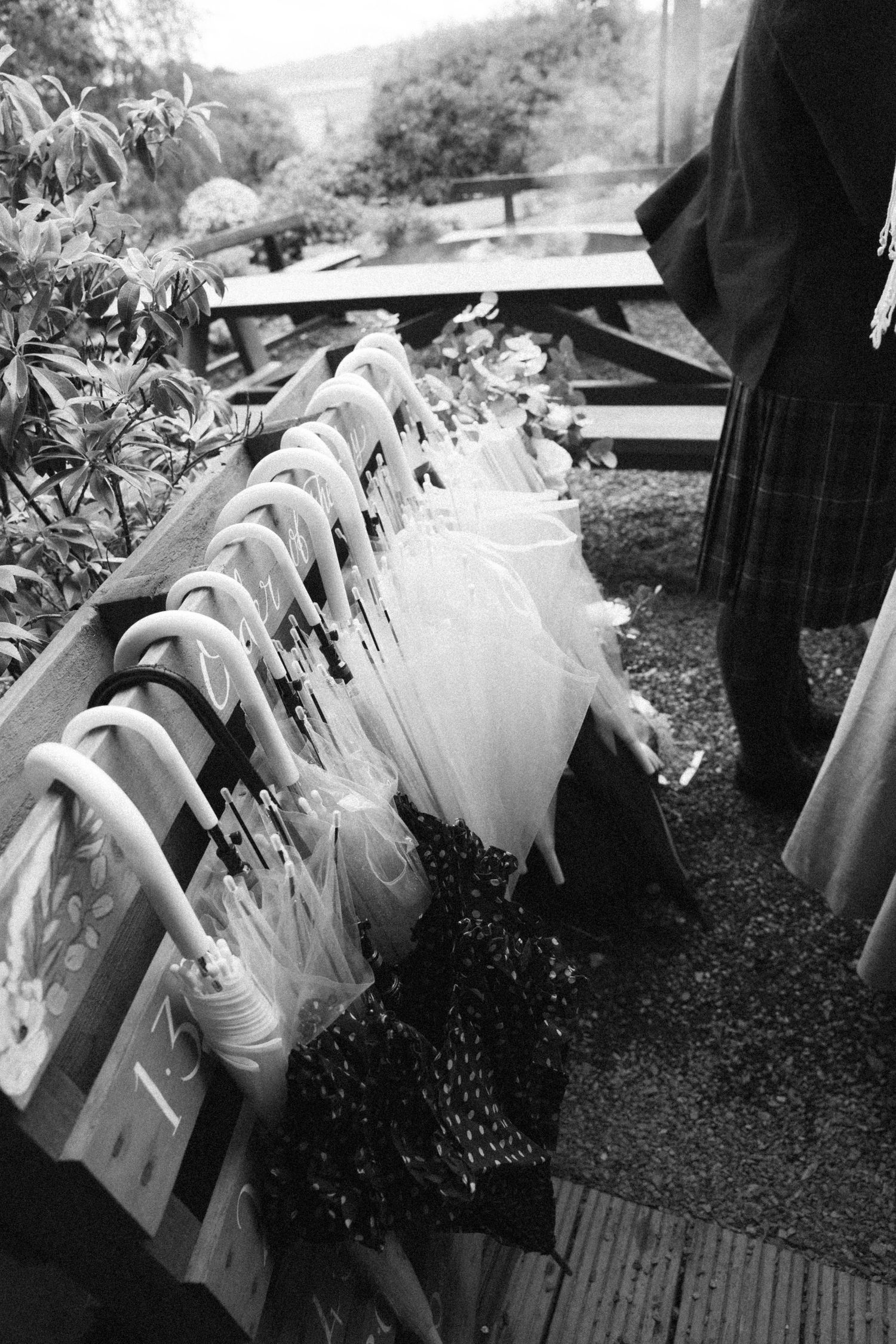 Black and white photo of umbrellas lined up on a wooden bench at an outdoor wedding venue.