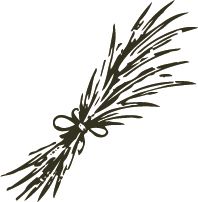 Simple hand-drawn sketch of black palm trees and coconuts against a white background.