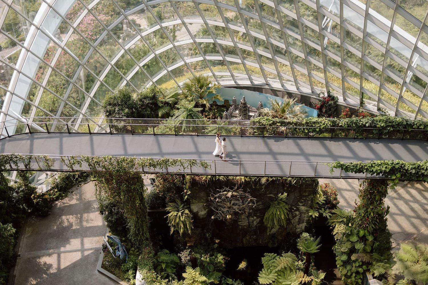 An aerial view of a glass conservatory walkway surrounded by tropical plants and greenery.