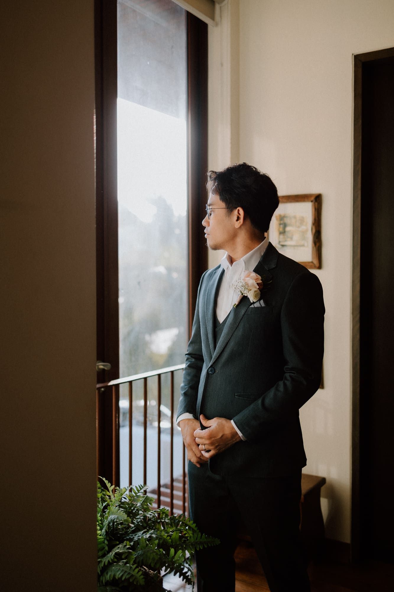 A series of photos showing figures looking out through a window with indoor plants visible in the frame.
