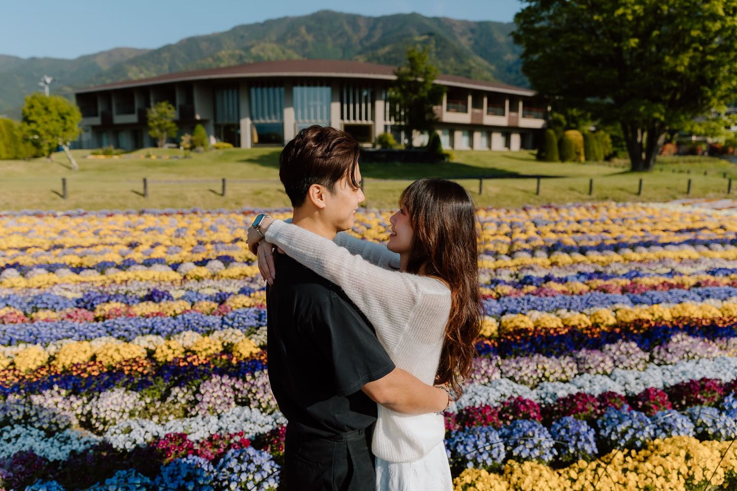 Couple embracing in front of colorful hydrangea flower fields with mountains and building in background.