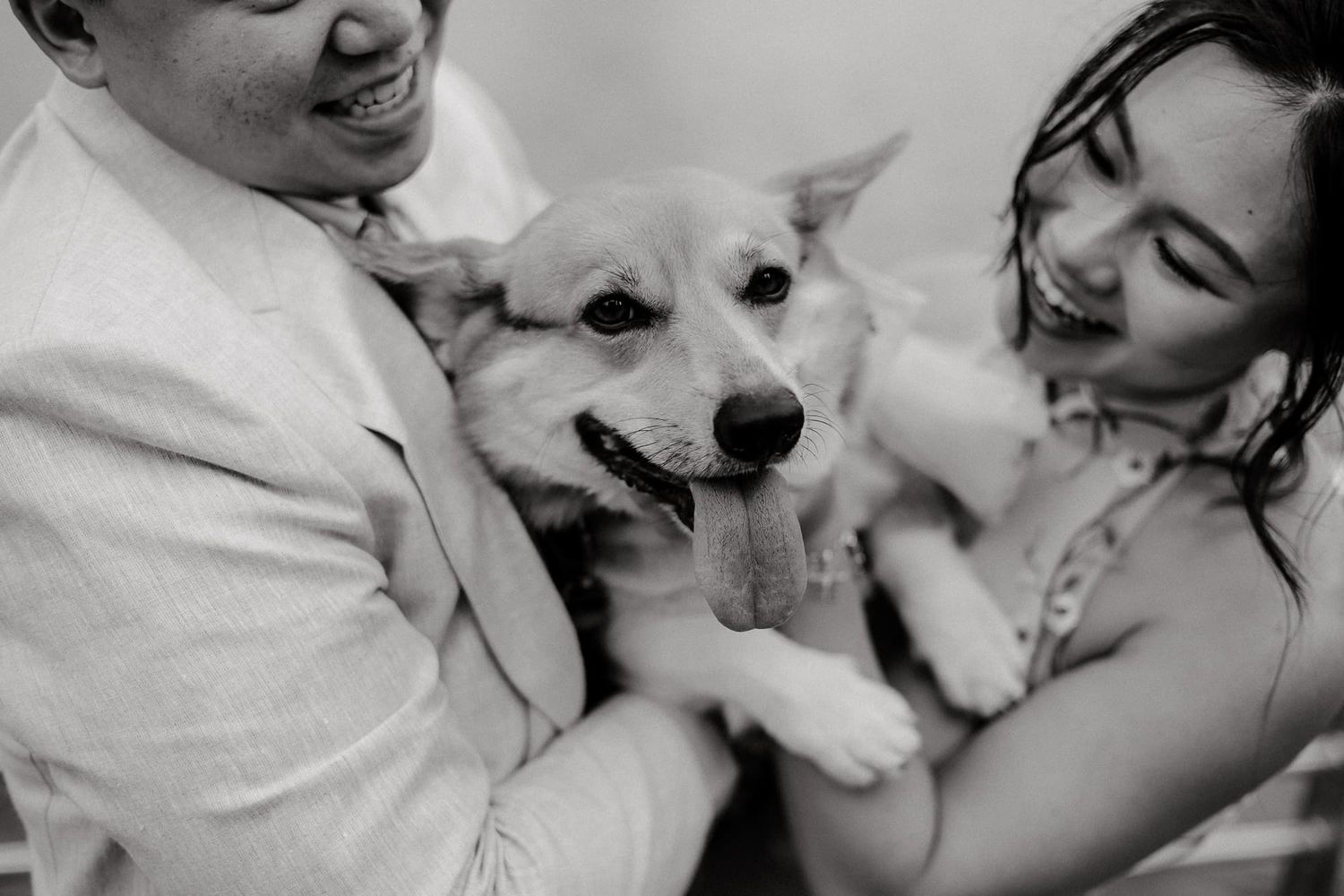 A black and white portrait of a couple cuddling their happy corgi dog.