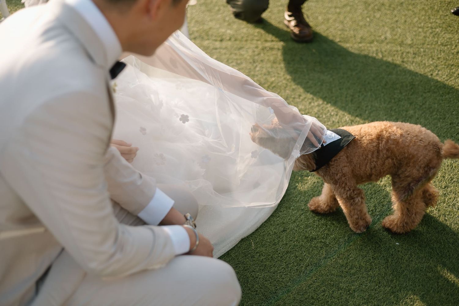 A small dog interacts with the wedding couple on artificial grass during the ceremony.