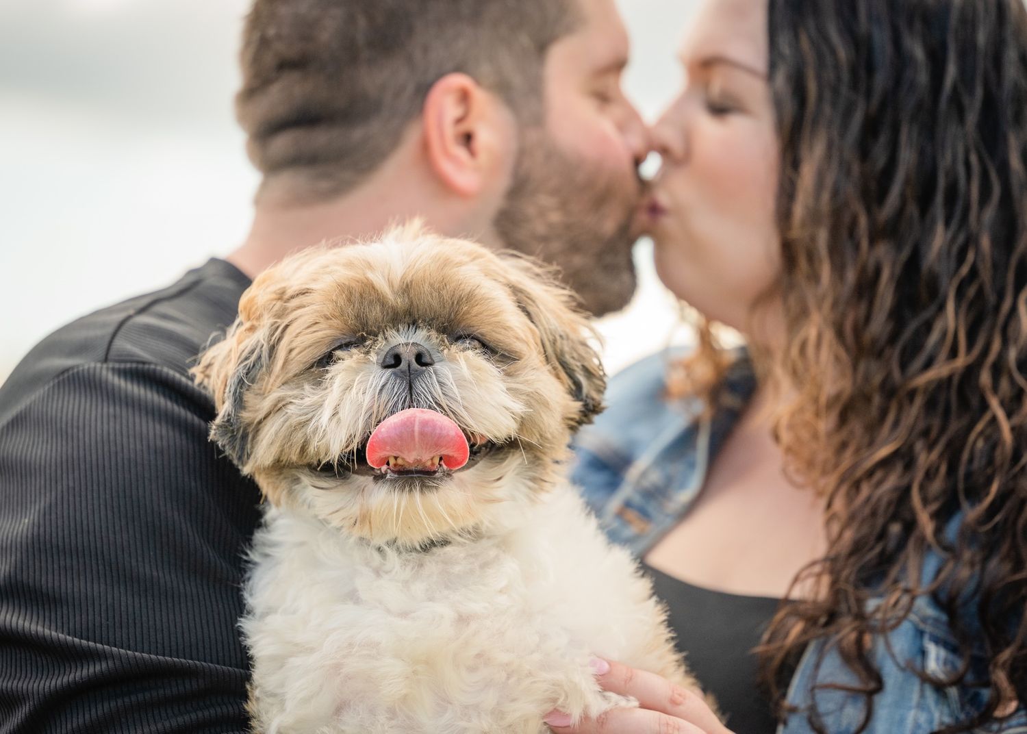 Close up of smiling dog while couple shares intimate moment.