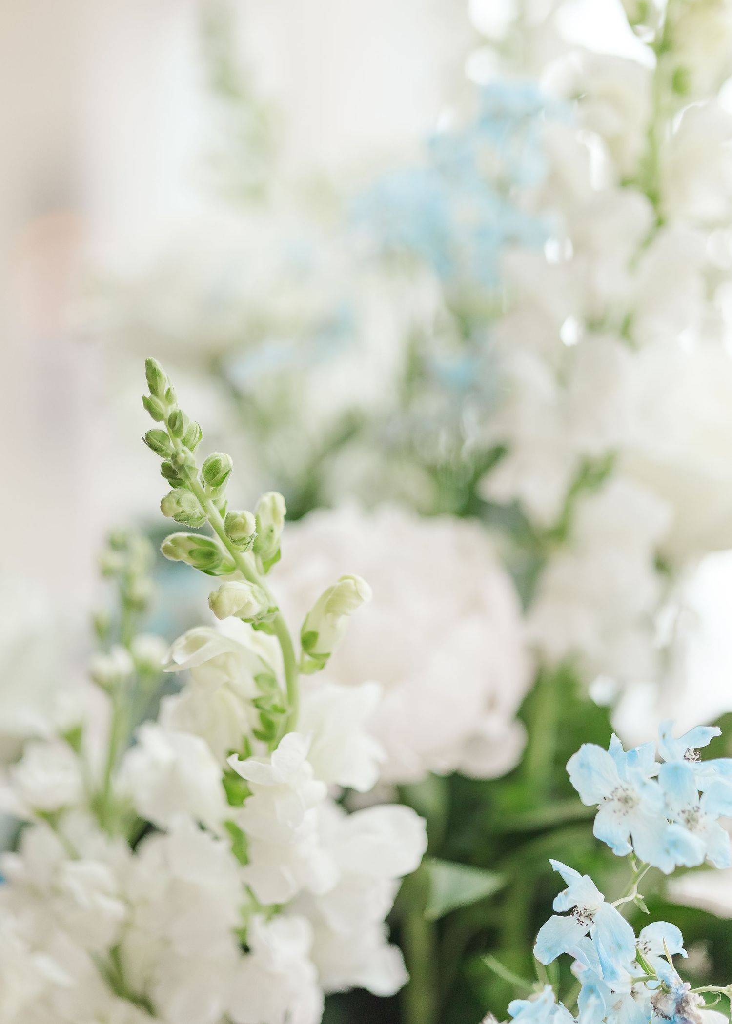 Close-up of delicate white and blue floral arrangements with green foliage.